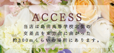 ルリーブへのアクセス