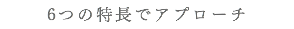 6つの特長でアプローチ